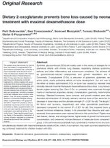 Dietary 2-oxoglutarate prevents bone loss caused by neonatal treatment with maximal dexamethasone dose